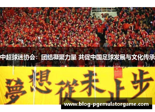 中超球迷协会：团结凝聚力量 共促中国足球发展与文化传承