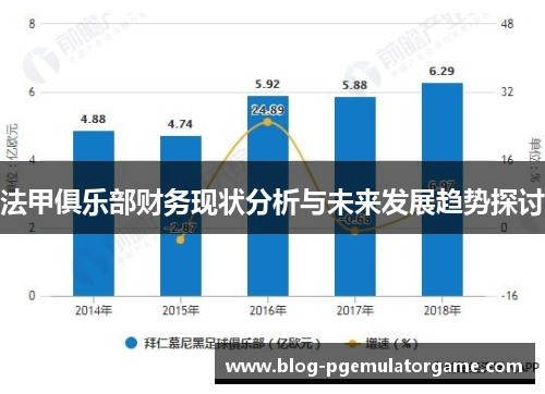 法甲俱乐部财务现状分析与未来发展趋势探讨