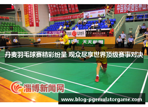 丹麦羽毛球赛精彩纷呈 观众尽享世界顶级赛事对决