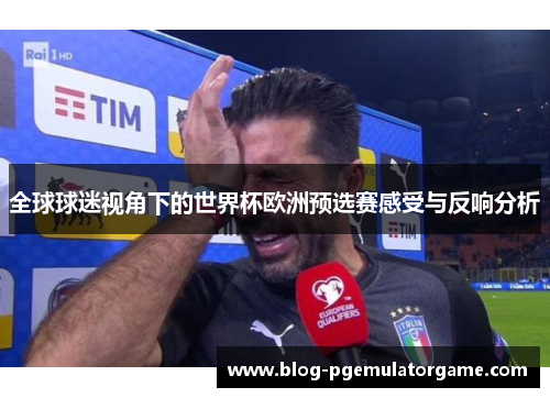 全球球迷视角下的世界杯欧洲预选赛感受与反响分析