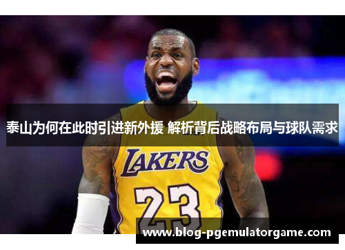泰山为何在此时引进新外援 解析背后战略布局与球队需求