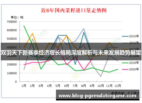 双羽天下新赛季经济增长格局深度解析与未来发展趋势展望