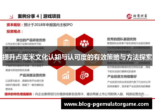 提升卢库米文化认知与认可度的有效策略与方法探索