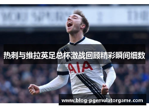 热刺与维拉英足总杯激战回顾精彩瞬间细数