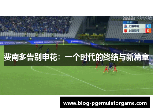 费南多告别申花：一个时代的终结与新篇章