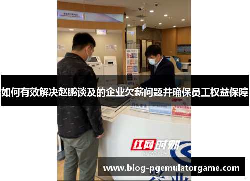 如何有效解决赵鹏谈及的企业欠薪问题并确保员工权益保障