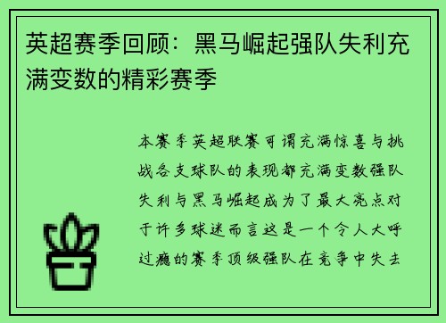英超赛季回顾：黑马崛起强队失利充满变数的精彩赛季