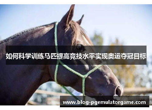 如何科学训练马匹提高竞技水平实现奥运夺冠目标