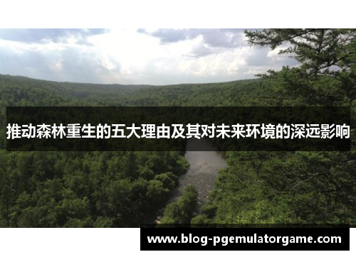 推动森林重生的五大理由及其对未来环境的深远影响