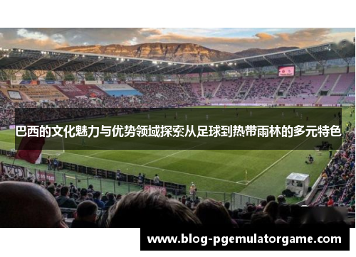巴西的文化魅力与优势领域探索从足球到热带雨林的多元特色