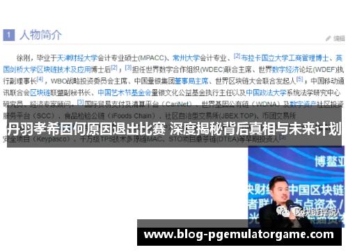 丹羽孝希因何原因退出比赛 深度揭秘背后真相与未来计划