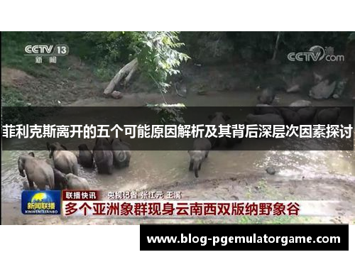 菲利克斯离开的五个可能原因解析及其背后深层次因素探讨