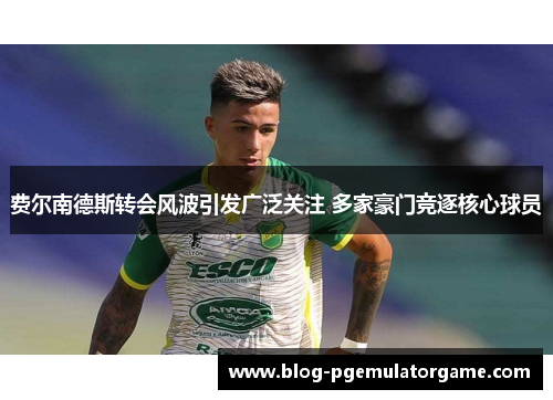 费尔南德斯转会风波引发广泛关注 多家豪门竞逐核心球员 费尔南德斯转会风波引发广泛关注 多家豪门竞逐核心球员