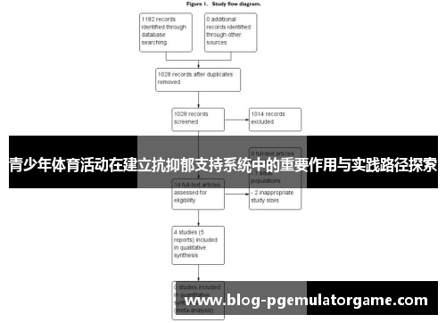 青少年体育活动在建立抗抑郁支持系统中的重要作用与实践路径探索