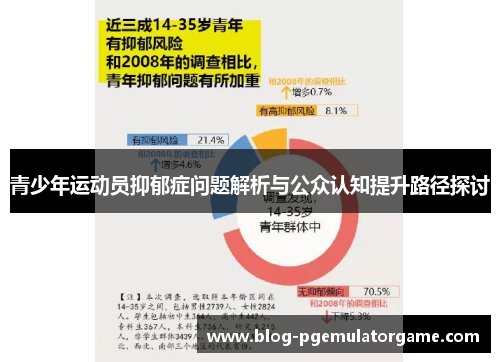 青少年运动员抑郁症问题解析与公众认知提升路径探讨