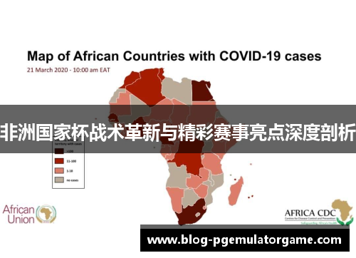 非洲国家杯战术革新与精彩赛事亮点深度剖析