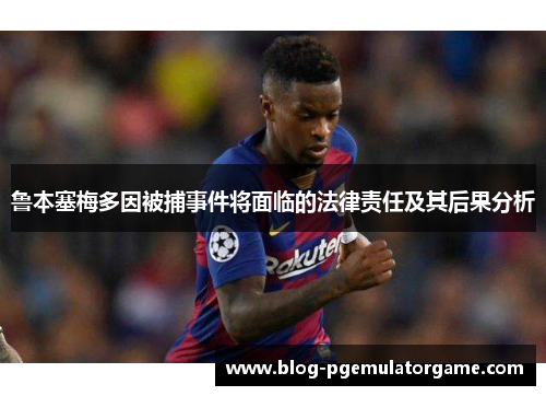 鲁本塞梅多因被捕事件将面临的法律责任及其后果分析