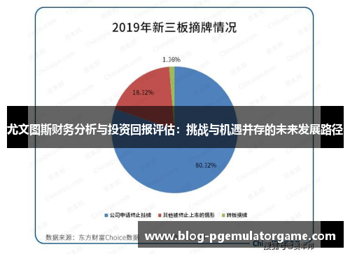 尤文图斯财务分析与投资回报评估：挑战与机遇并存的未来发展路径