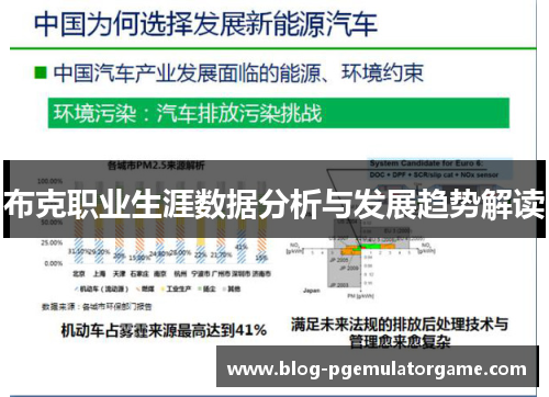 布克职业生涯数据分析与发展趋势解读