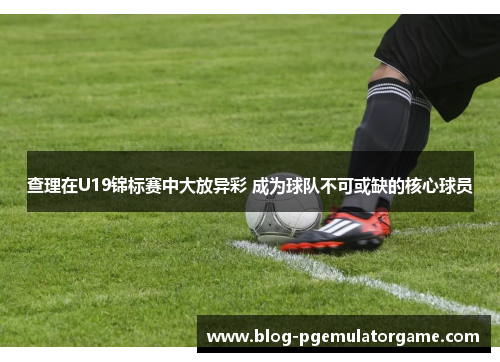 查理在U19锦标赛中大放异彩 成为球队不可或缺的核心球员 查理在U19锦标赛中大放异彩 成为球队不可或缺的核心球员