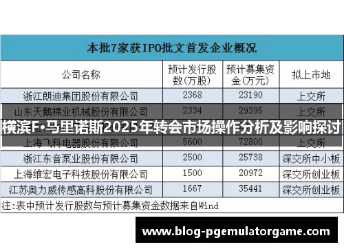 横滨F·马里诺斯2025年转会市场操作分析及影响探讨 横滨F·马里诺斯2025年转会市场操作分析及影响探讨