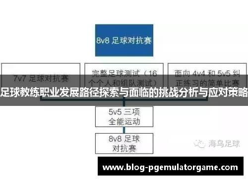 足球教练职业发展路径探索与面临的挑战分析与应对策略